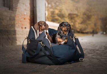 Еліанн | Дизайнерський автокрісло для собак | Навігатор, синій | Міцне | Дизайнерський бренд | Для собак маленьких та середніх порід | Підвищене автокрісло для собак