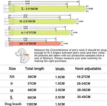 Нашийник для собак з шкіри та поводок-стрічка HALFSUMO: комплект для малих та середніх собак та котів, червоний