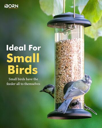 iBorn годівниця для птахів на підвіску, 2 шт. Зелена, металева, стійка до іржі, 8 дюймів