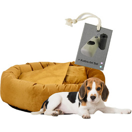 колір: селера