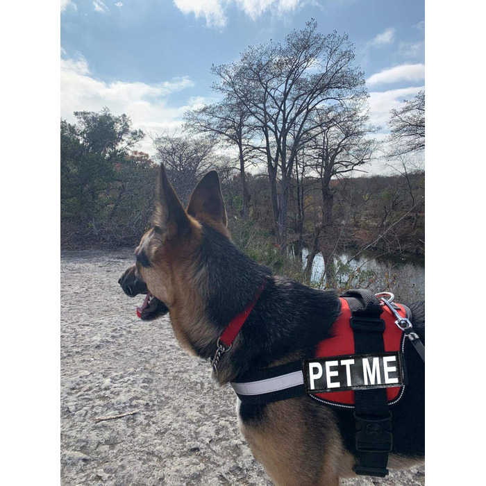 Шлея для собак Pet Me, нейлонова, з 2 світловідбиваючими знімними нашивками