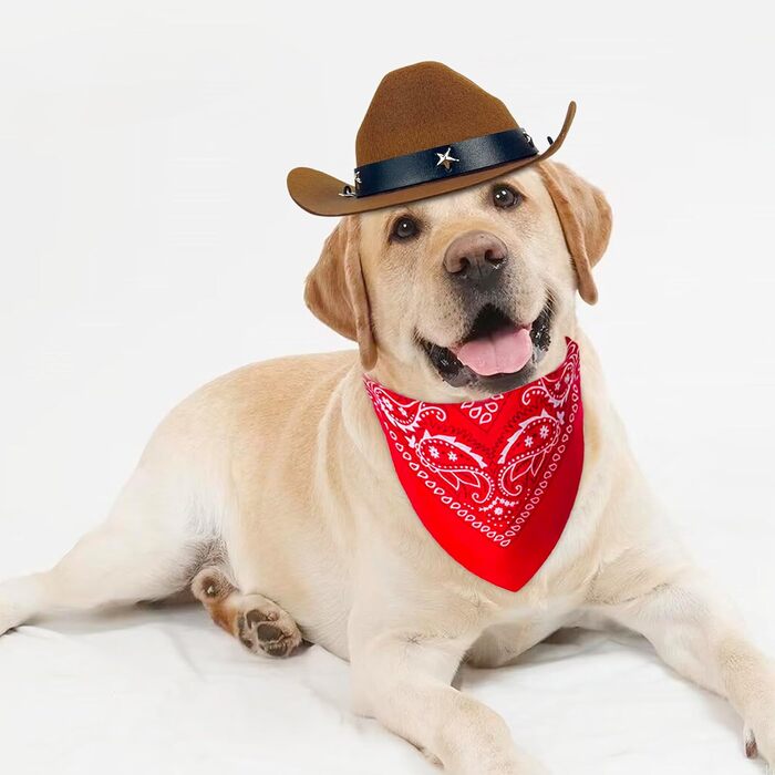 Ковбойський костюм для домашніх тварин: капелюх та бандана, комплект аксесуарів для собак та котів, коричневий