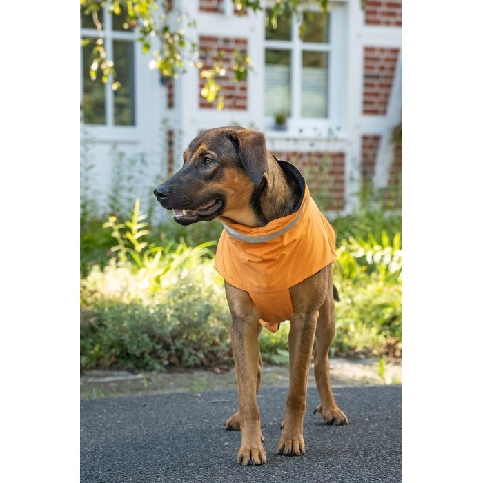 Вольтерс Куртка Outdoor, Класичний Стиль, Оранжевий, Розмір 52