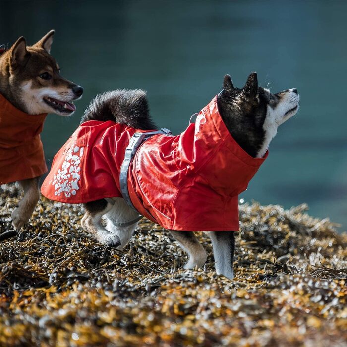 Дощовик для собак Hurtta Monsoon ECO, 61 см, колір Морозний троянда