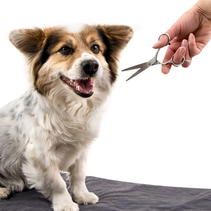 Набір для догляду за тваринами 7 предметів: щітка для шерсті, ножиці для шерсті, ножиці для кігтів, рукавичка для вичісування, щітка для ворсу, щипці для кліщів, для собак, котів, дрібних тварин