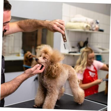 Гребінець для вичісування шерсті тварин 2St, щітка для вичісування шерсті собак і котів, з нержавіючої сталі