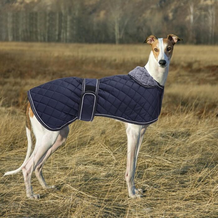 Водонепроникний зимовий одяг для породистих собак (Вінтерхаунд, Віпет, Лурчер), тепла куртка з флісовою підкладкою, для великих та середніх порід, темно-синій, розмір S (обхват спини 51-53 см)