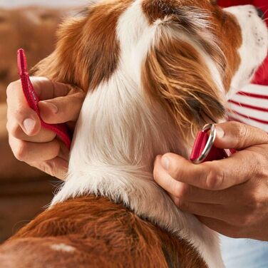 Нашийник для собак Hunter Neopren Reflect FC Bayern München, сірий (червоний, S-M (45))