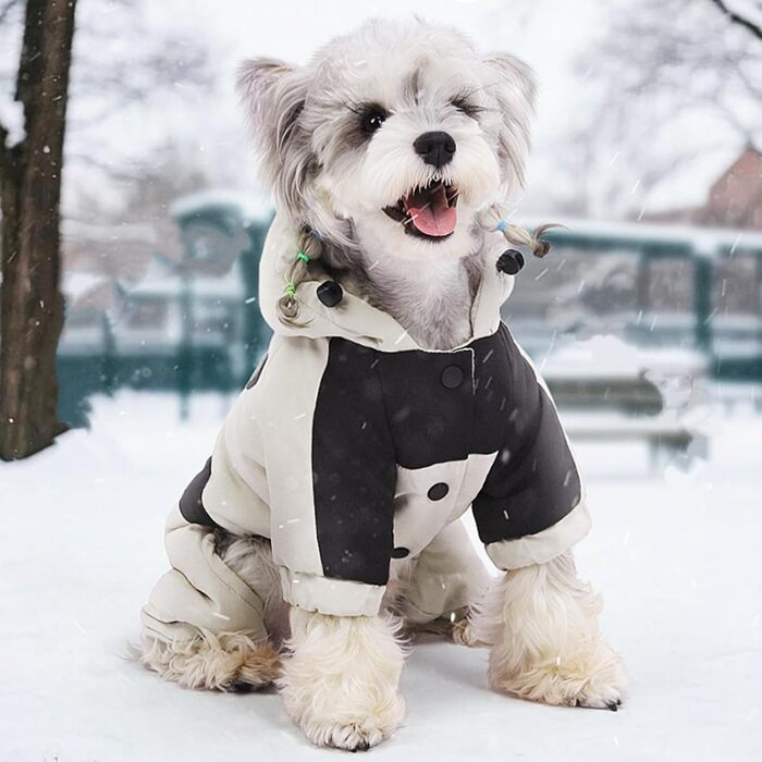 Зимовий теплий одяг для собак: бавовняна куртка з кільцем D, матеріал графен, водонепроникний. Ідеально для зимових прогулянок, подорожей та ігор зі снігом (S, Рожевий) S Рожевий