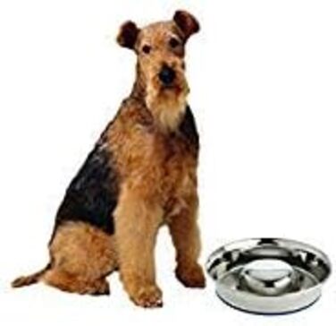 Durapet OurPets преміум антипоїдний металевий миска для собак