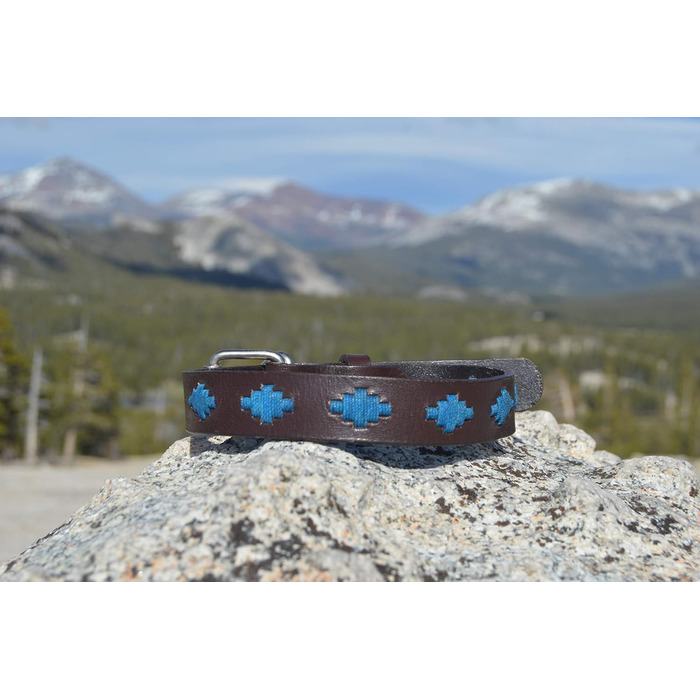 Нашийник для собак Gaucho Goods, м'яка шкіра, розмір M, Tahoe
