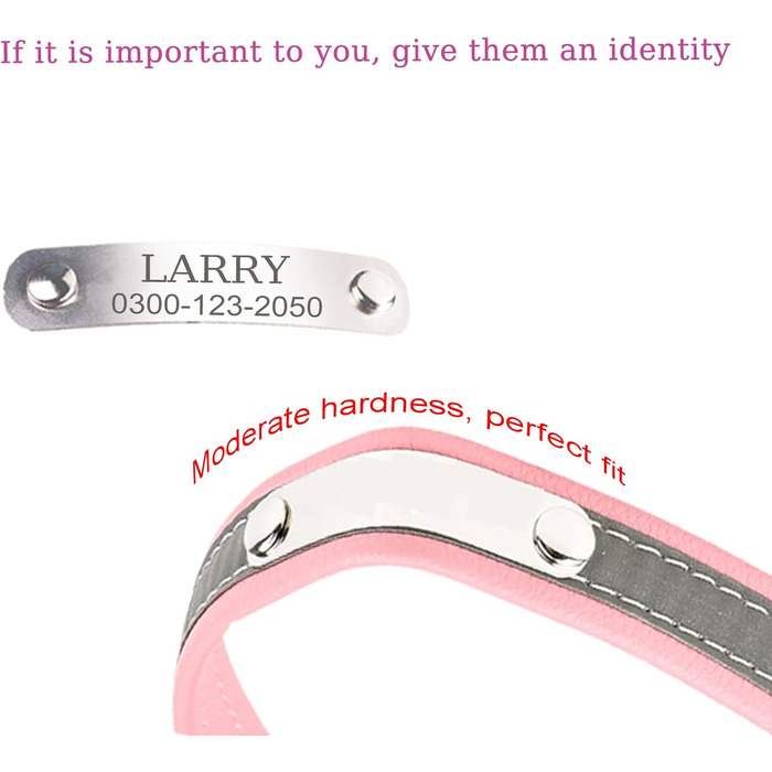 Yonsbox Персоналізоване світловідбиваче відбиваче для собак та котів – Легке, міцне мікрофіброве ошийник з гравіюванням, тихим ID-значком та світловідбиваючою строчкою безпеки – 6 розмірів (XS–XXL) Фіолетовий M: 29-38 см (підходить для 6-10 кг)