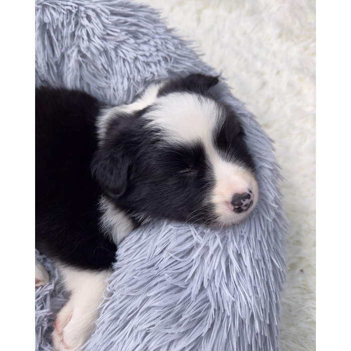 Кругле ліжко для собак та котів, м'яке, 4XL (120 см), сірий колір