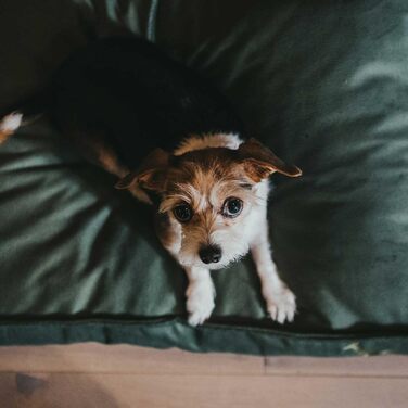 Ортопедична подушка для собак HUNTER Merida, колір оливковий, розмір XL