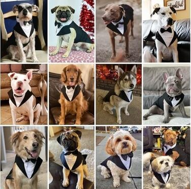 Костюм для собак 