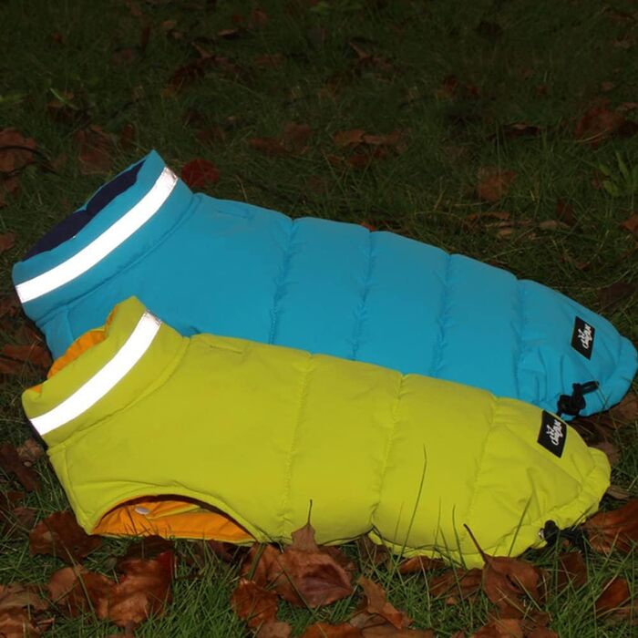 Вітронепроникна жилетка для собак, водонепроникний дощовик, теплий пуловер для собак та котів, бавовняна жилетка з підкладкою, зимова жилетка для собак, відображаюче одяг для собак, зелений L