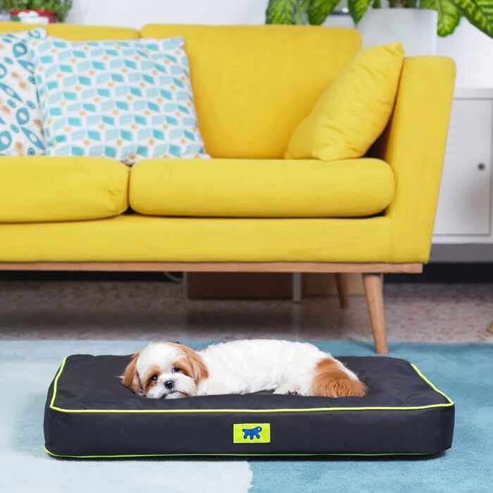 Ортопедичний лежак для собак Ferplast Polo, 65 x 40 x 8 см, чорний. Лежак для собак та котів, миючий, знімний наповнювач. Розмір S.