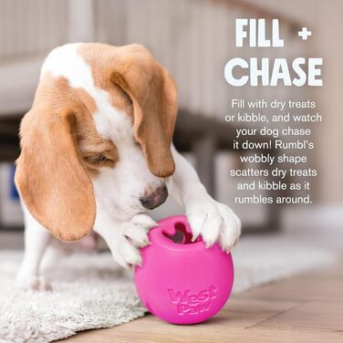 Іграшка для собак WestPaw Echo Rumbl L, помаранчева, 10 см