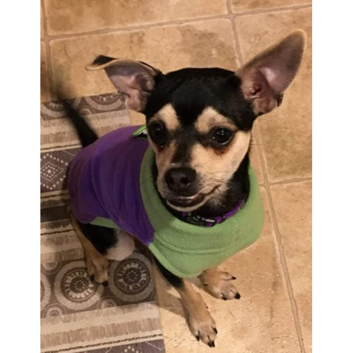 Тепла жилетка для собак GOOBY з флісу (Lila, X-Large, обхват грудей ~56 см)