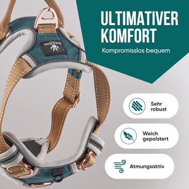 Набір повідка та шлейки для собак – дихаючий, регульований, з м'якою підкладкою та світловідбиваючими елементами – для великих та середніх собак (зелений, S (51-66 см обхват грудей))