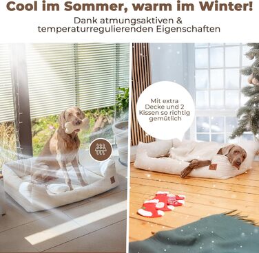 М'яке ліжко для собак Manno з піною з пам'яті ефекту – для середніх та великих собак | Зручне, знімний чохол, неслизьке та водовідштовхувальне | Безкоштовний ковдра та 2 подушки (XL)