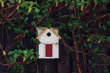 Дерев'яний годівничка та шпаківня Wildlife Garden WG1122 Multiholk New England для птахів