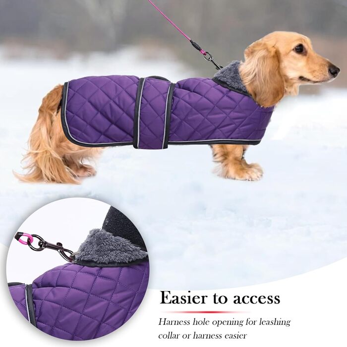 Зимовий теплий одяг для такс (дрібних та середніх) - куртка з плюшем, регульованим поясом та отвором для повірця, Geyecete, колір: зелений, розмір: L, фіолетовий