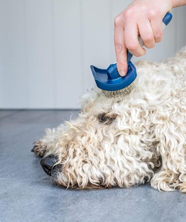 Набір для догляду за шерстю собак та цуценят Mikki: гребінець зі сталі та щітка Slicker з жорстким ворсом. Підходить для порід: пуделів, кокапу, лабрадуділів, кавапу, мальтипу та голден дуділів.