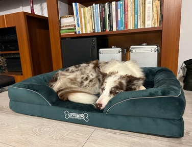 Ортопедична лежанка для собак Lovedog, зелена, 90 x 60 см