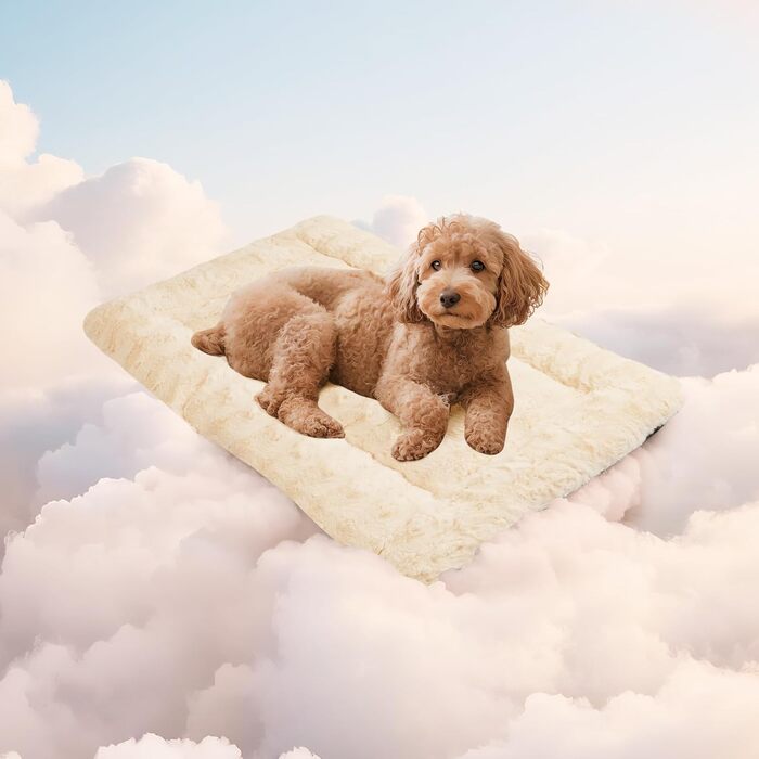 М'яка лежанка для собак Mora Pets: зручна та миюча, 60 x 45 см, бежева