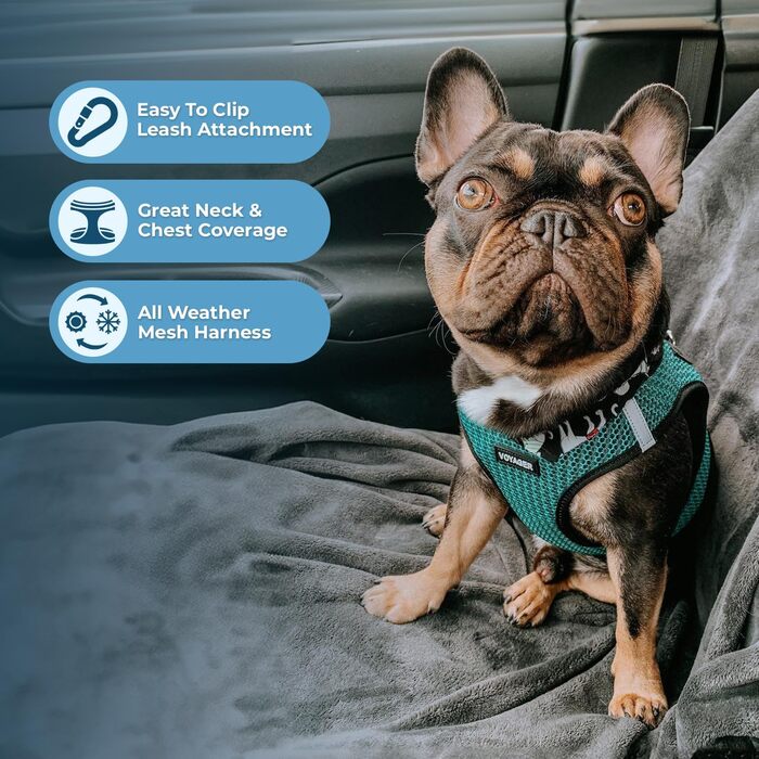 Шлейка для собак Best Pet Supplies Voyager Step-In Air, дихаюча, нейлонова, бірюзова, для малих і середніх порід, розмір S