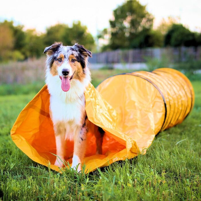 Тунель для собак Vabiono Agility Profi Sack - ігровий тунель для аджиліті, 60x300 см