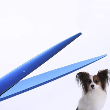 Набір ножиць для собак та котів: професійні ножиці для грумінгу з нержавіючої сталі