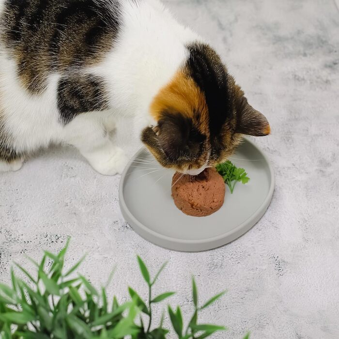 Миска для котів [Колекція Nala] - Плоска миска для їжі | Широка силіконова миска | Миска для котів | Силіконова тарілка для котячого корму (сірий камінь)