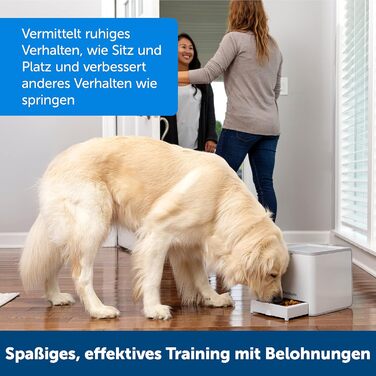 PetSafe Teach & Treat – дистанційний тренер для собак, автоматична видача ласощів, для навчання та позитивного підкріплення, сірий, працює від 4 батарейок D