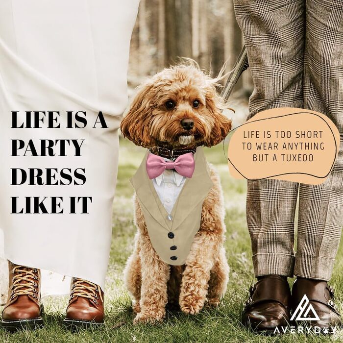 Smoking для собак: стильний костюм для собак середніх та великих порід XL. Костюм для свят, вечірок, косплею, Хелловіну, весілля. Бежевий smoking з рожевою краваткою.