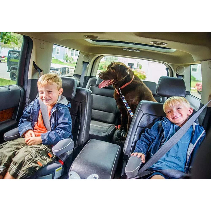 Автогурт для собак AYADA: еластичний, регульований, безпечний, з карабіном (фіолетовий)