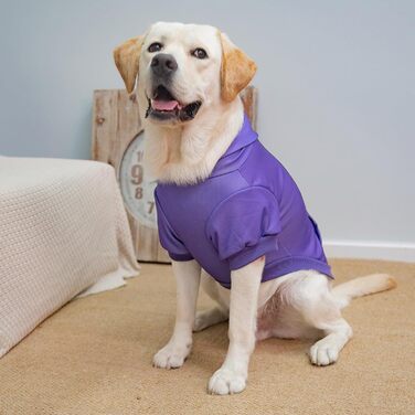 Пуловер для собак Kooltail Basic з капюшоном – теплий та м'який, з отвором для повідка та кишенею, зимовий одяг для собак, кошенят, дівчаток та хлопчиків, X-Large (фіолетовий)