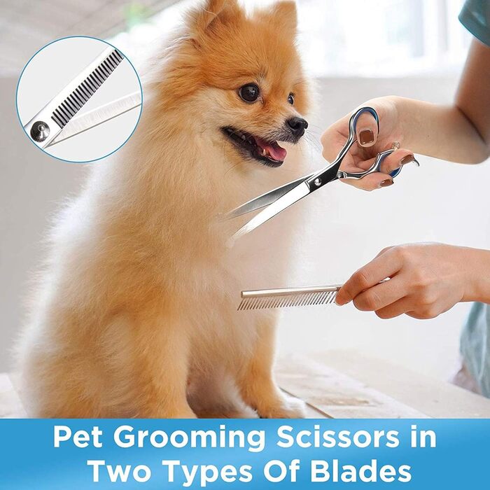 Набір професійних ножиць для собак з безпечними округлими кінчиками, нержавіюча сталь. Ножиці для грумінгу та догляду за шерстю собак та котів. Синій колір.