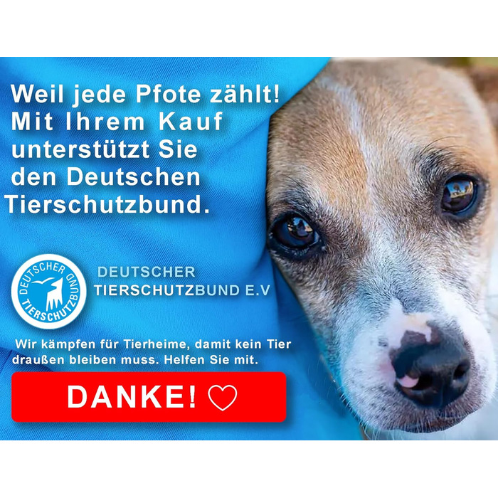 Набір з 2 шт. для собак: велика складана пляшка для води 550 мл + щітка для зубів | Без витоку | Преміум якість