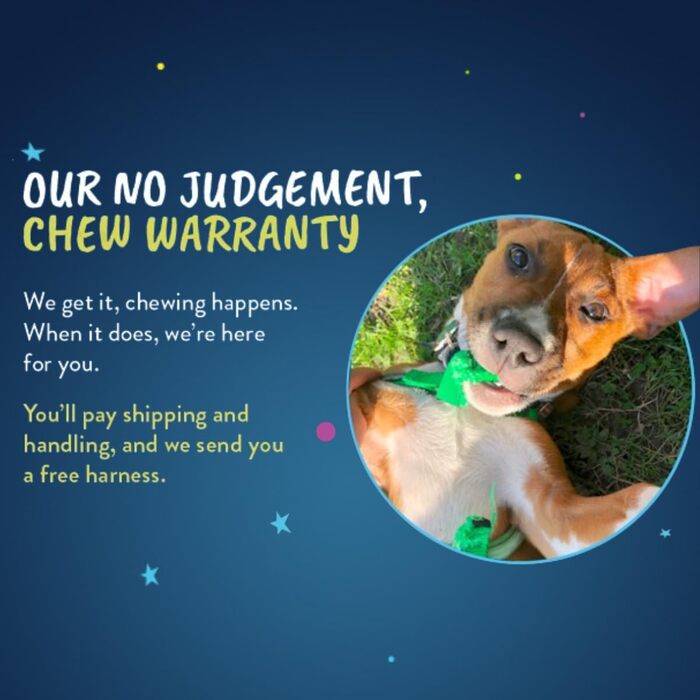 Шлея для собак Wiggles Wags Whiskers проти тягнення, середній розмір, чорна