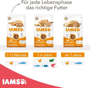 Сухий корм для котів IAMS з лососем для дорослих від 1 до 6 років, 10 кг