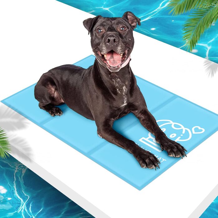 Кühlmatte для собак Pawtasy: охолоджуючий килимок для собак великих та середніх порід, 100 x 60 см, блакитний