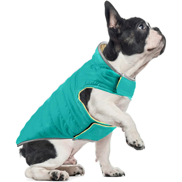 PETCUTE Зворотна куртка для собак, зимова, водонепроникна, для цуценят, з отвором для повідка, L, блакитний+жовтий