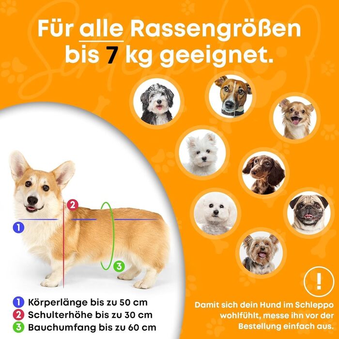 Швейцарський рюкзак для собак Schleppo до 7 кг | Рюкзак для собак | Дихаючий водонепроникний рюкзак для походів та міста (Зелений, універсальний розмір)