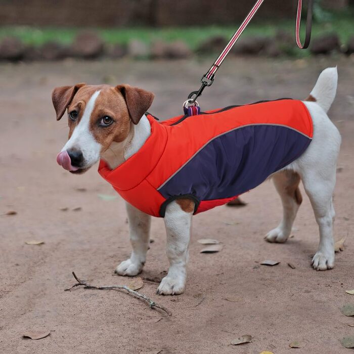 Водонепроникна тепла куртка для собак Antel, червона, розмір S, з D-порогом