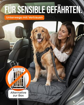 Автомобільний повідок для собак 'Argo' – регульований безпечний повідок з амортизацією та ISOFIX – для всіх порід собак (Розмір S) (Чорний, L (63-87 см))