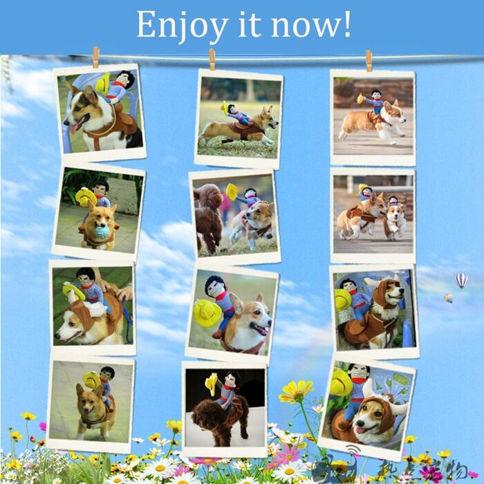 Костюм для собаки Ковбойський стиль: теплий, зручний набір для фотосесій та святкування, XL