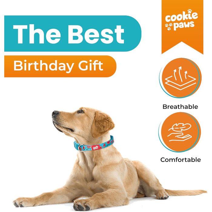 Нашийник і повідець для великих собак Cookie Paws, нейлоновий з м'яким неопреном, регульований, з швидкозастібкою, дихаючий, легкий у догляді, стильний дизайн «Кавун»