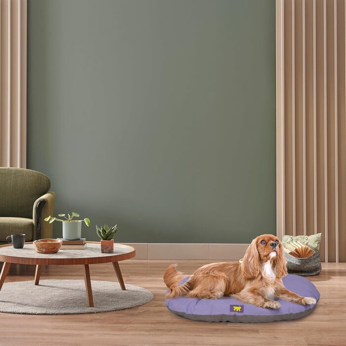 Крісло-лежанка для собак та котів Ferplast Relax, бавовна, 78 x 50 см, ліловий